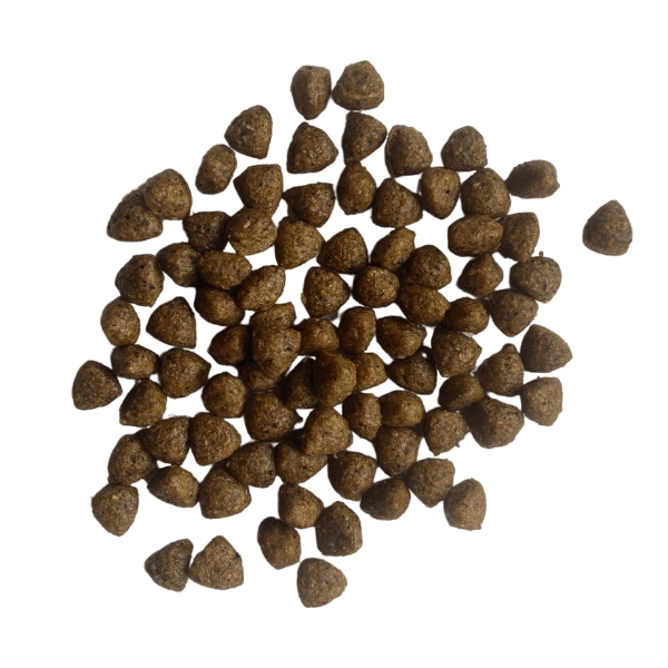  سگ بالغ نژاد کوچک مرغ و بوقلمون 8 کیلوگرم