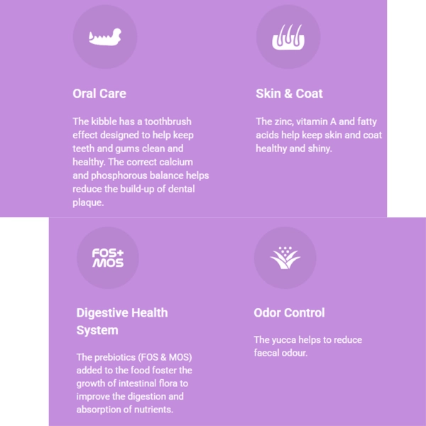  سگ بالغ همه نژاد ها طعم بره و برنج 15 کیلوگرم