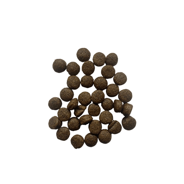 خوراک پاپی رژیمی تقویت مفاصل 10 کیلوگرم