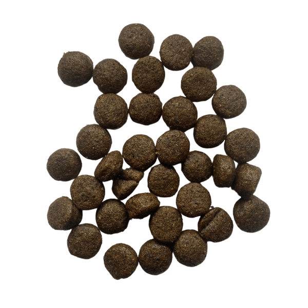 سگ بالغ نژاد بزرگ مرغ و بوقلمون 12.5 کیلوگرم