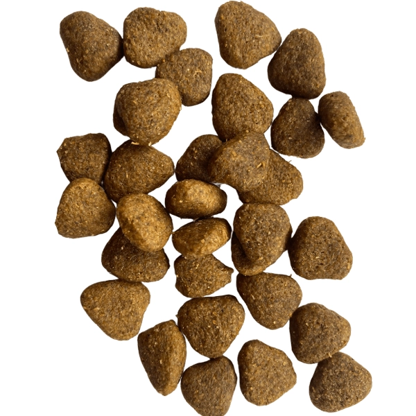  سگ بالغ همه نژاد ها طعم بره و برنج 3 کیلوگرم