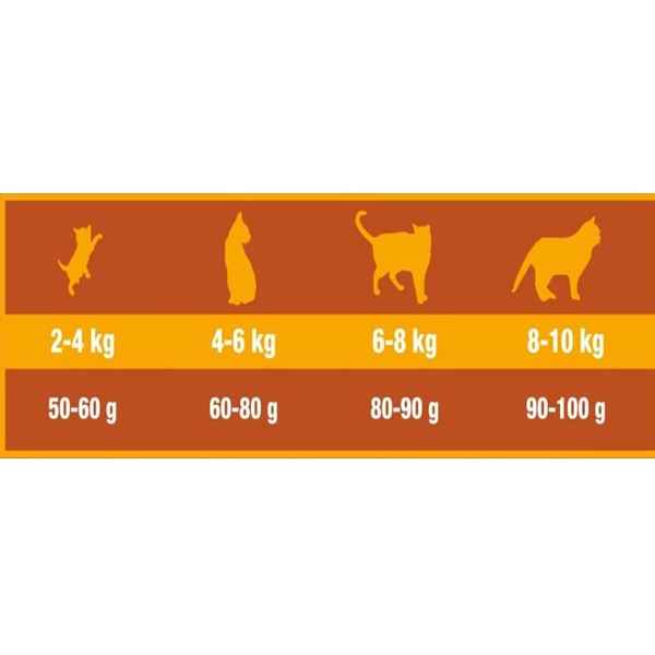 خوراک گربه بالغ(بالای 1سال) Housy Cat تریپل کراون با طعم مرغ و برنج 2 کیلوگرم