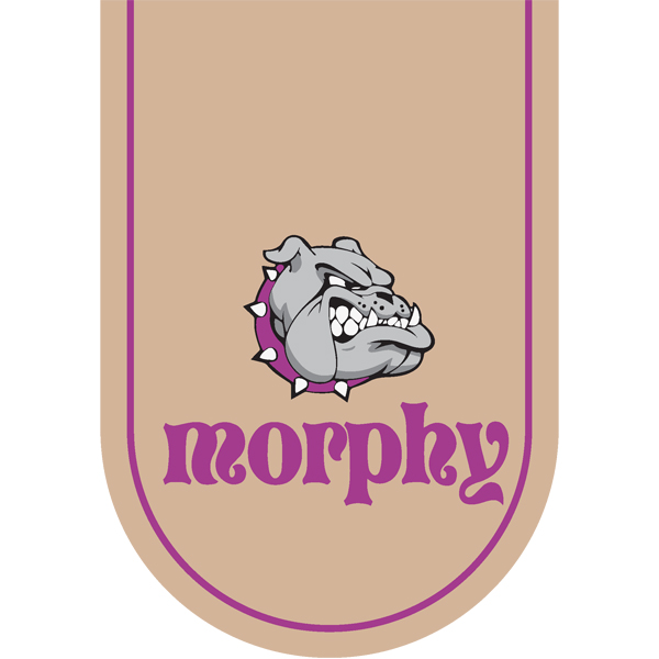 بستنی، تشویقی  گربه برند مورفی 48 عددی طعم مرغ (کارتن 6 تایی)