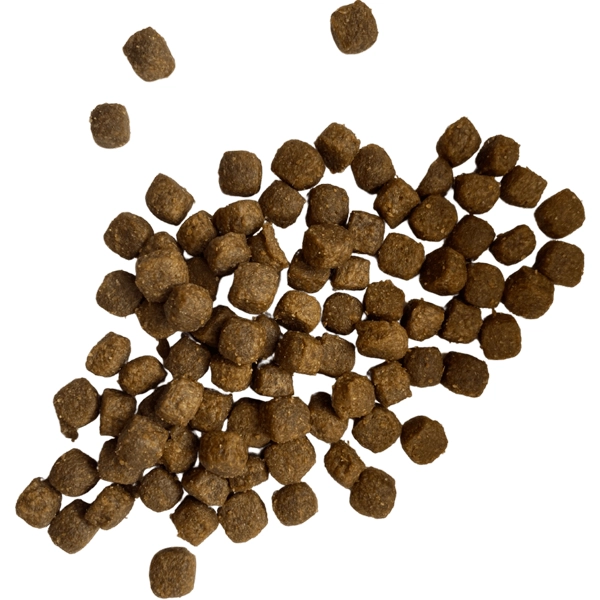 پاپی جونیور همه نژادها طعم مرغ و برنج 15 کیلوگرم