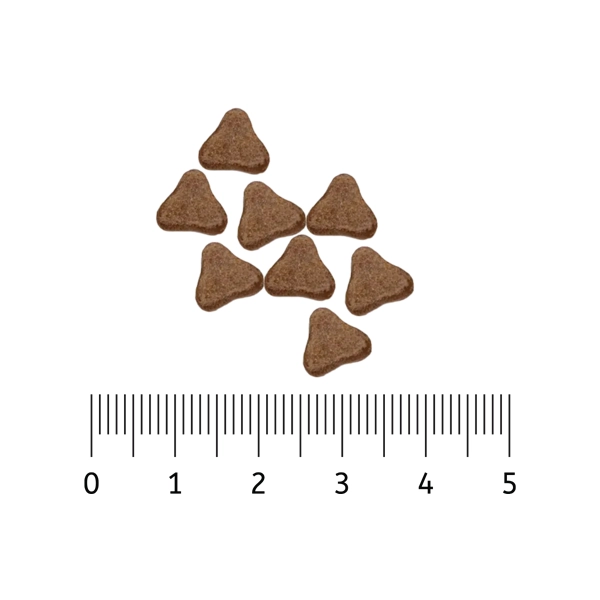 خوراک سگ بالغ نژاد کوچک طعم خرگوش و سیب زمینی بدون غلات 8 کیلوگرم