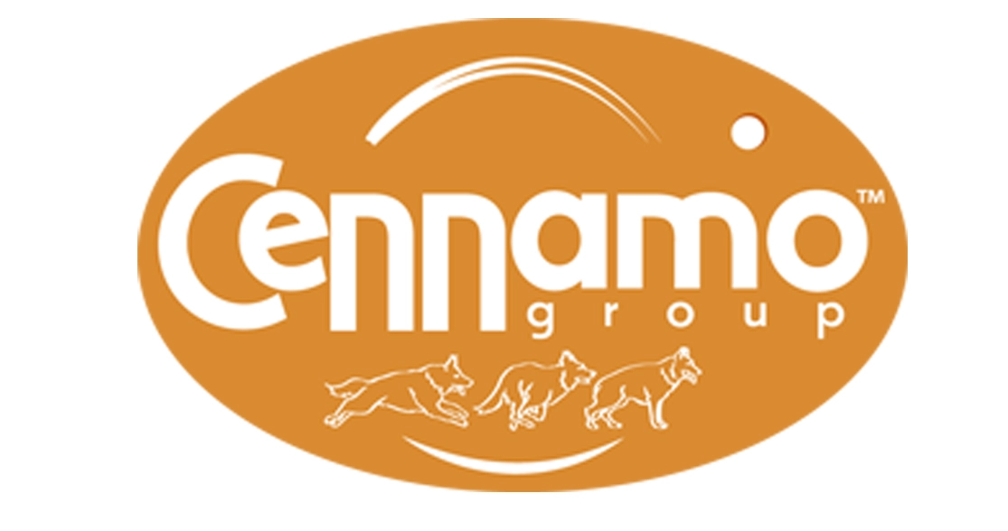 برس ماریو مورفی (پک 6 عددی)