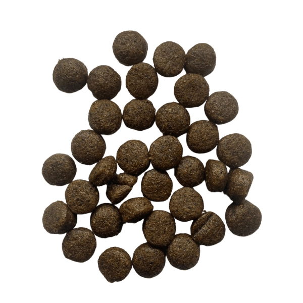  خوراک پاپی و جونیور نژاد بزرگ 12.5 کیلوگرم