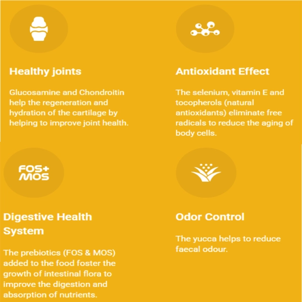 خوراک سگ بالغ نژاد بزرگ طعم مرغ و برنج 15 کیلوگرم
