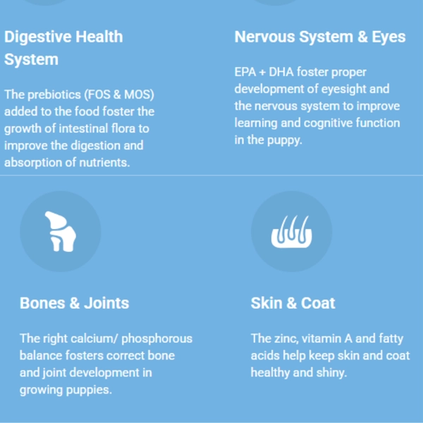 پاپی جونیور همه نژادها طعم مرغ و برنج 15 کیلوگرم